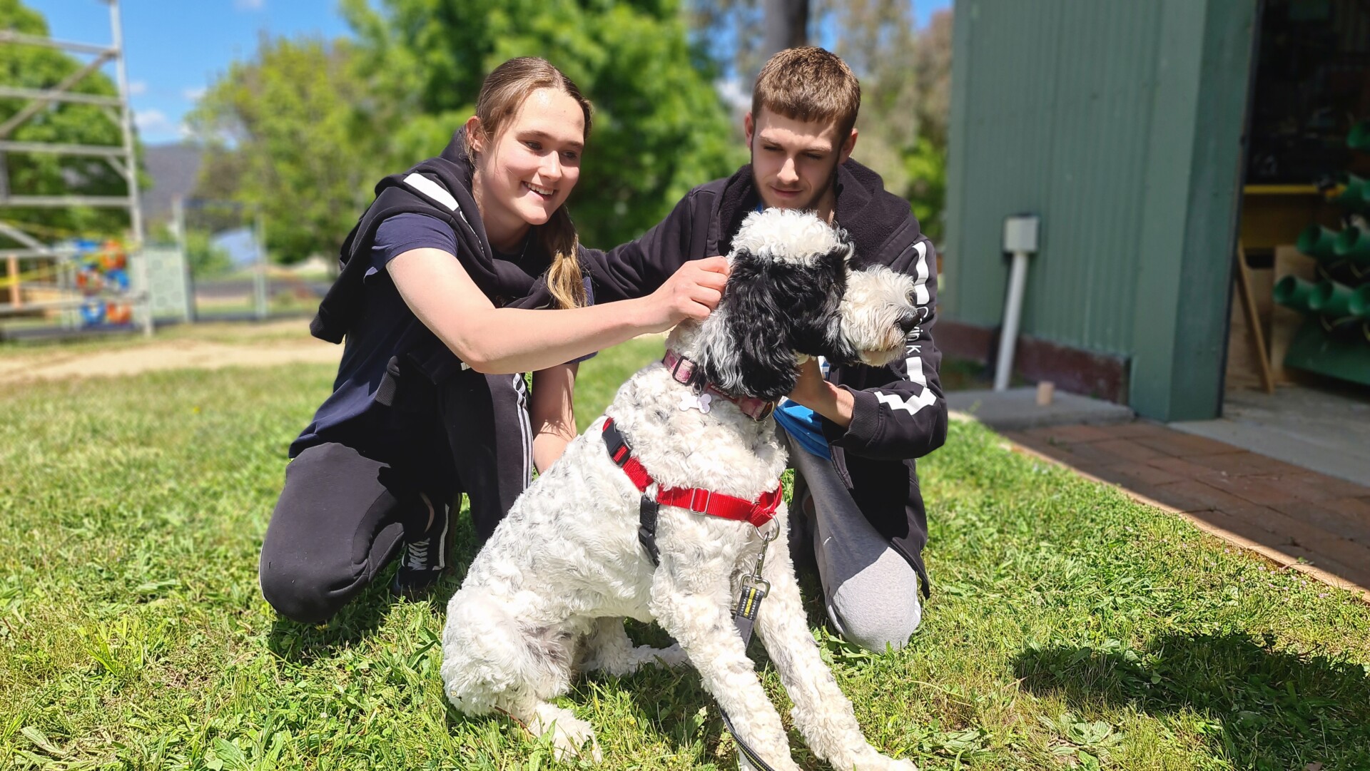 Therapy dog Halle and students