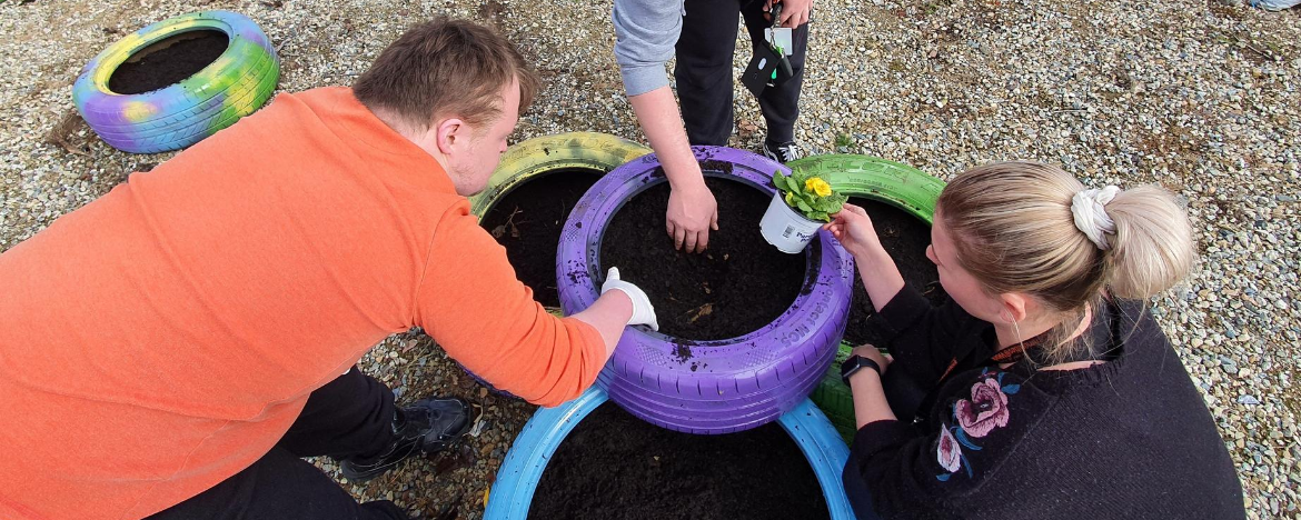 disability garden event