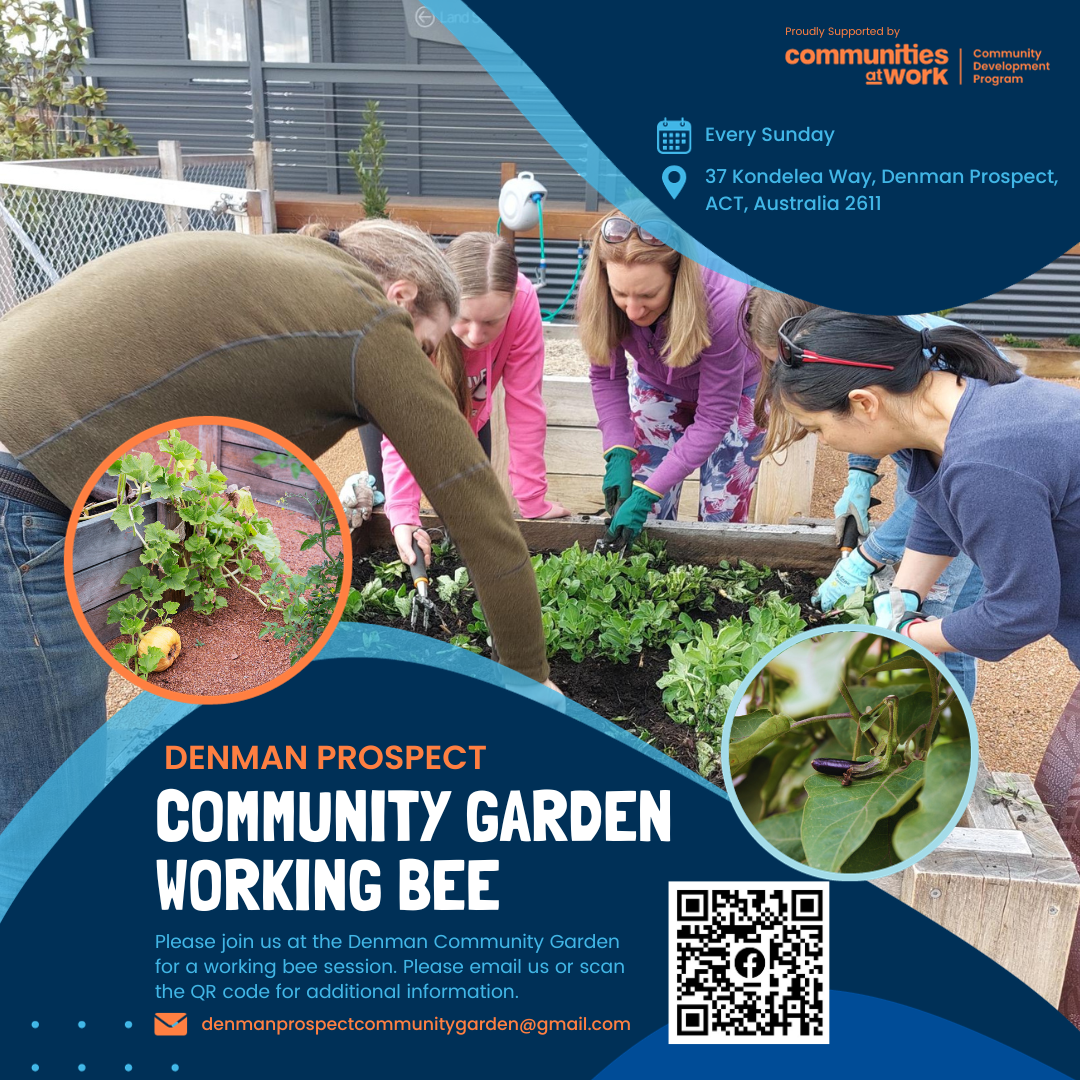 Denman Community Garden supported by Communities at Work