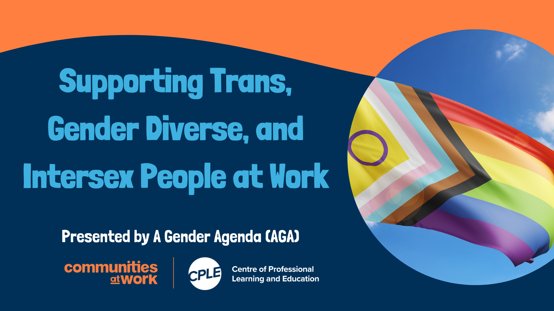 Supporting_Trans_Gender_Diverse_and_Intersex_People_at_Work_communities_at_work