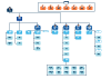 Organisational Chart